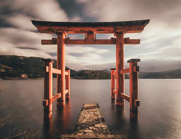 Mostra di torii